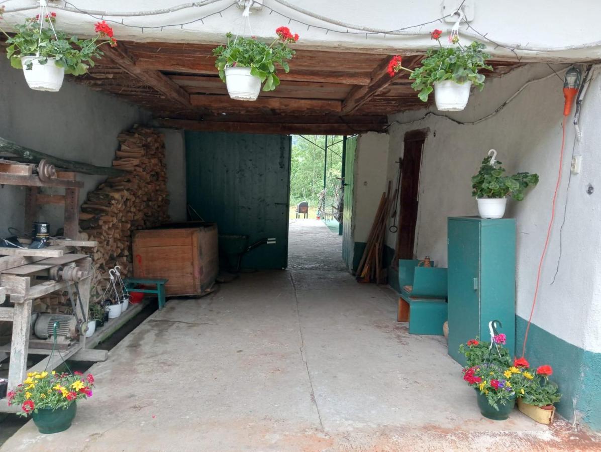 Hello Nature House - Cheile Nerei, Carasului, Garlistei Giurgiova Ngoại thất bức ảnh
